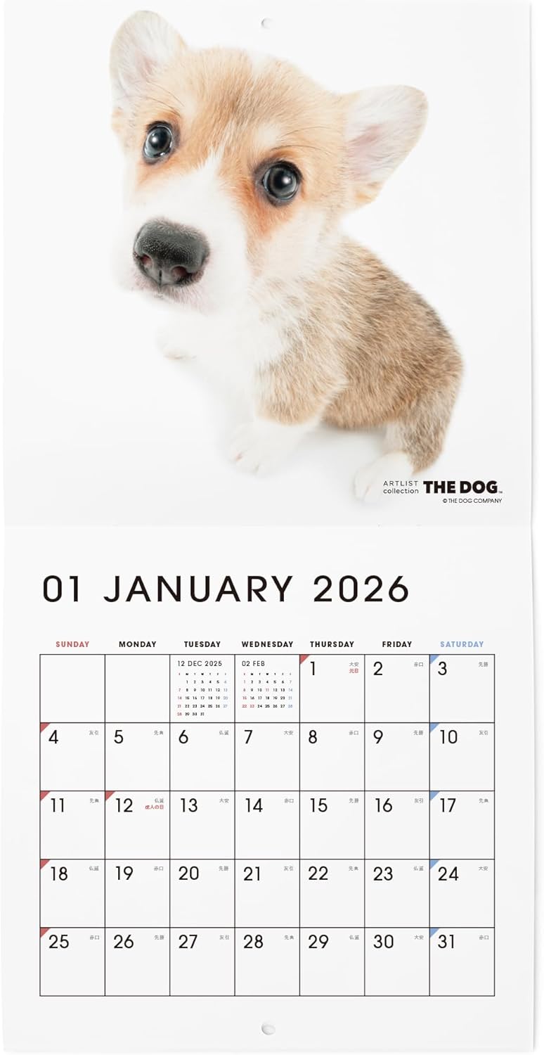 THE DOG 2026 Wall Calendar Mini Size [Welsh Corgi]