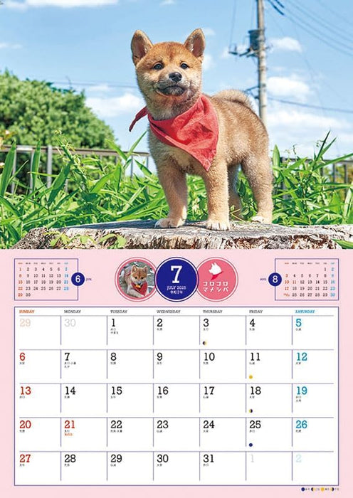 Try-X Korokoro Mameshiba 2025 Wall Calendar CL-381 51 x 36cm