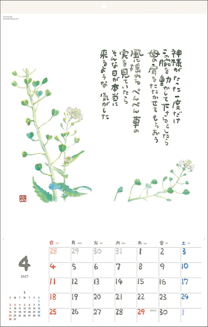 Tomohiro Hoshino 2027 Wall Calendar Jewel No.6227