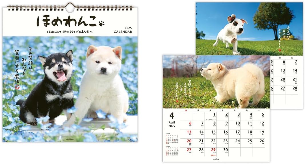 Hallmark 2025 Wall Calendar Homewanko Large 834-623