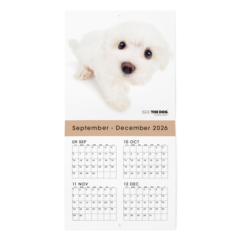 2027 Calendar Cats Collection