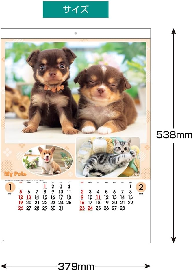 King Corporation 2025 Wall Calendar My Pet B3 538 x 379mm KC30130