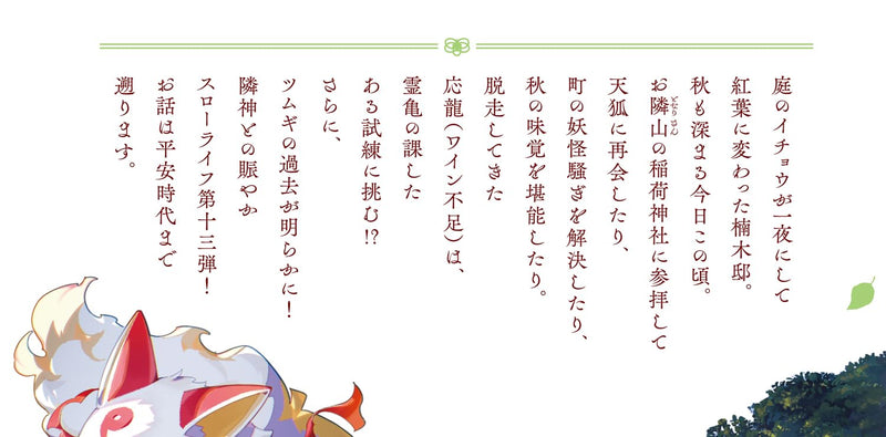Kami no Niwatsuki Kusunoki-tei 13 (Light Novel)