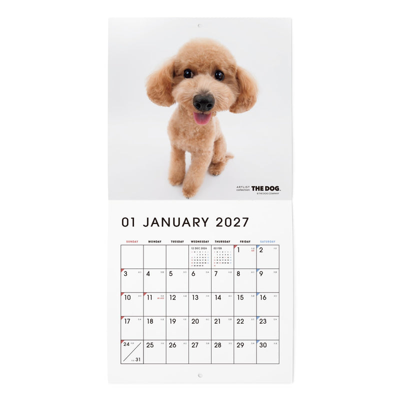 THE DOG 2027 Wall Calendar Mini Size [Poodle]