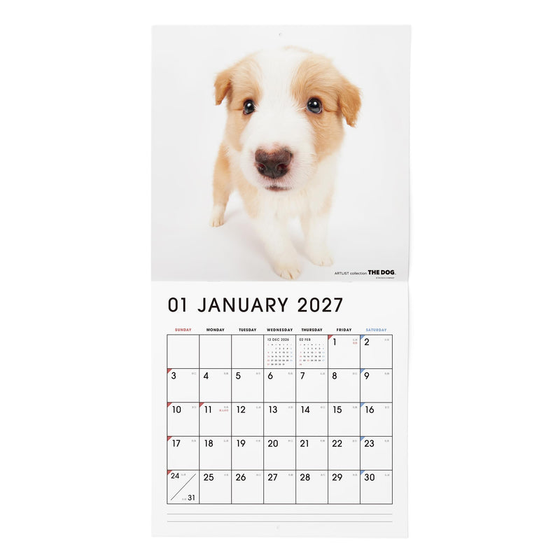 THE DOG 2027 Wall Calendar Large Size [Border Collie]
