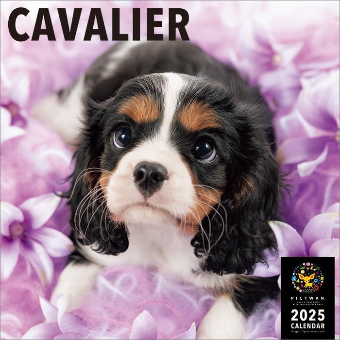 PICTWAN 2025 Calendar Cavalier - King Charles Spaniel