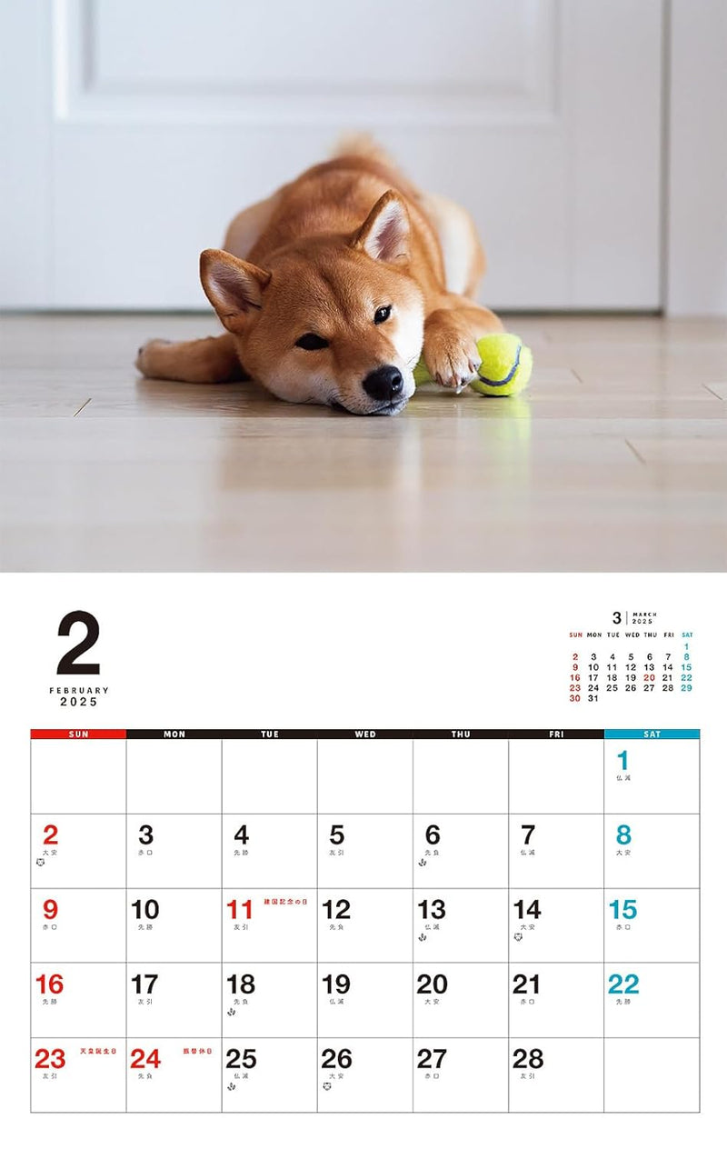 Honobono Shiba Calendar 2025 (Monthly/Wall Calendar)