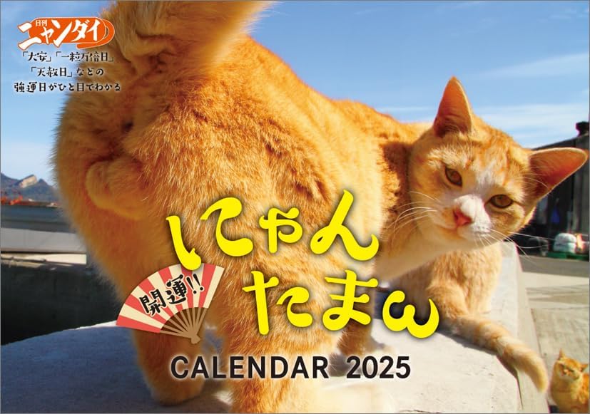 Hagoromo Good Luck!! Nyantama 2025 Wall Calendar CL25-0395A