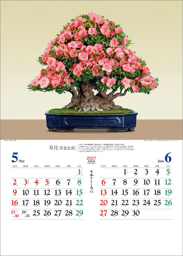 Todan 2027 Wall Calendar Japanese Heart Bonsai CL27-1039