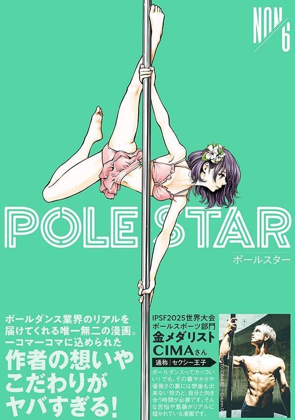 POLE STAR 6