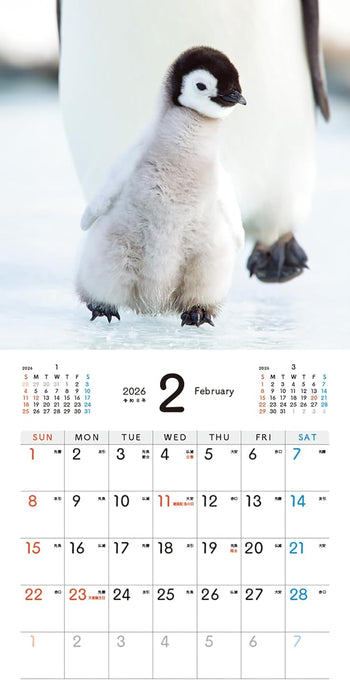 Baby Emperir Penguin Calendar 2026