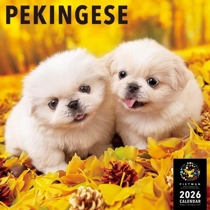 PICTWAN 2026 Calendar L Edition Pekingese