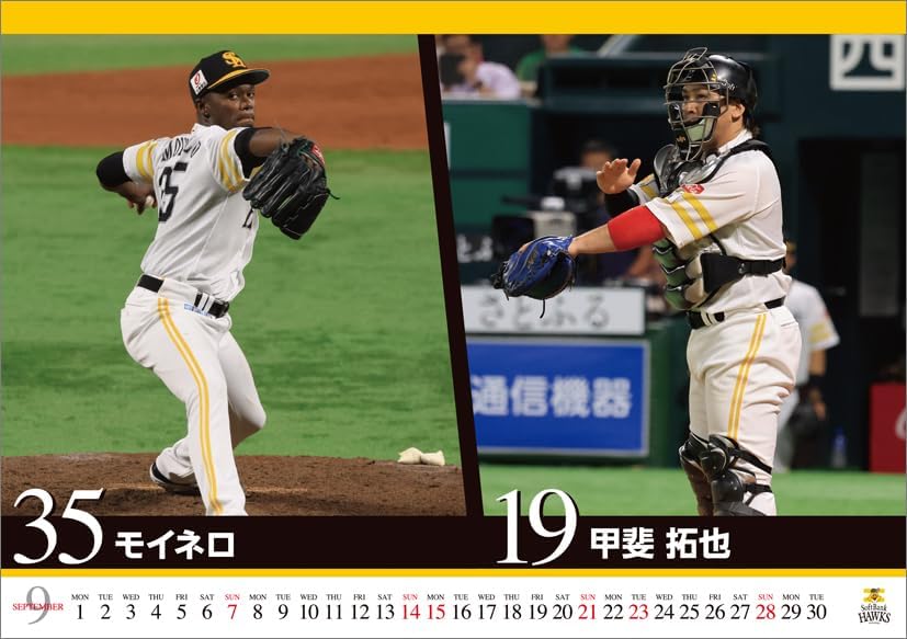 Hagoromo Fukuoka Softbank Hawks 2025 Desk Calendar CL25-0590