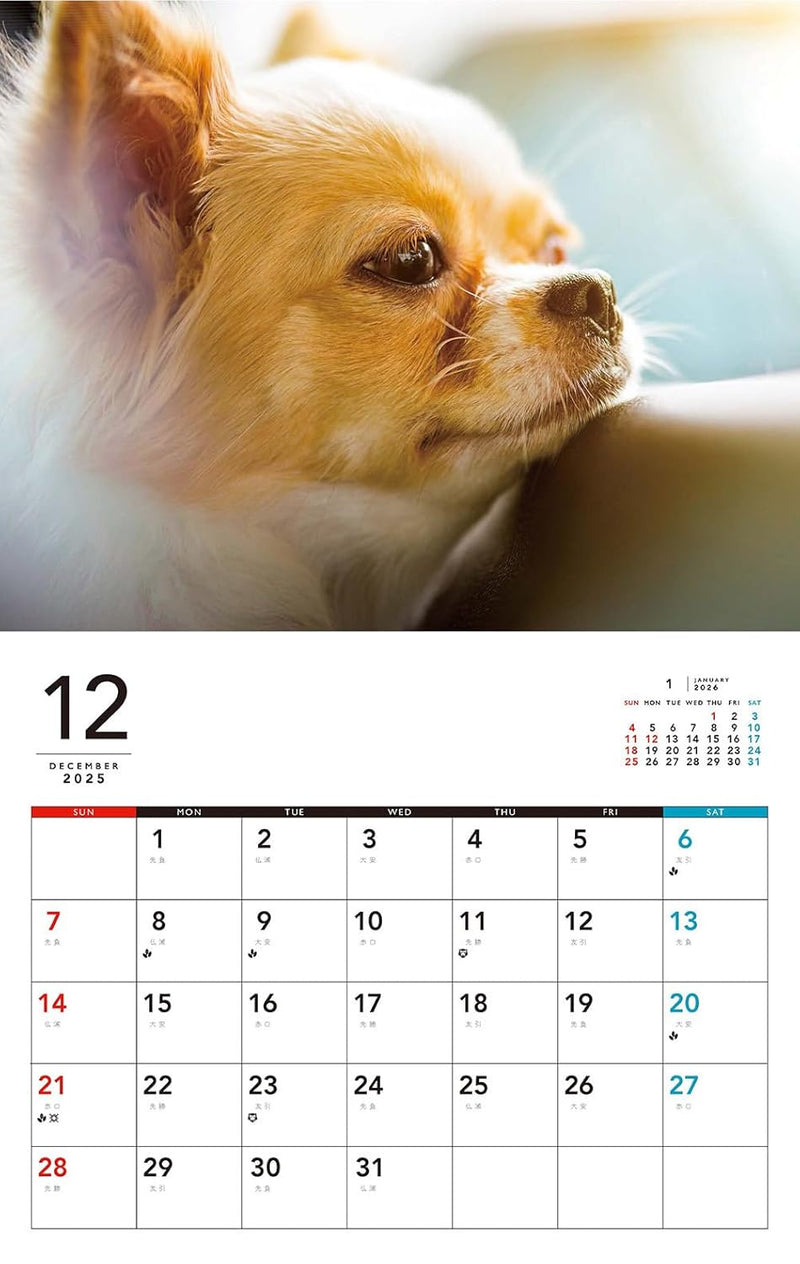 I LOVE Chihuahua Calendar 2026 (Monthly/Wall Calendar)