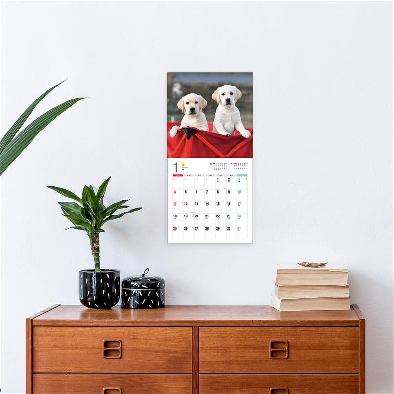 2026 Labrador Retriever Calendar (Seibundo-shinkosha Calendar)