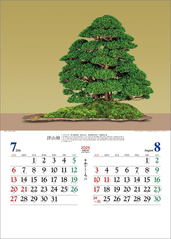 Todan 2025 Wall Calendar Japanese Heart Bonsai CL25-1073
