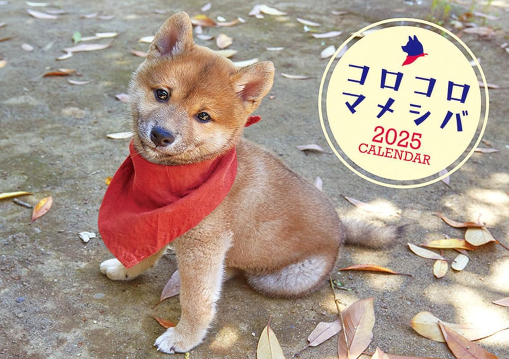 Try-X Korokoro Mameshiba 2025 Wall Calendar CL-381 51 x 36cm