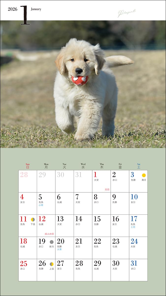 2026 Adorable Golden Retriever Calendar (Seibundo-shinkosha Calendar)