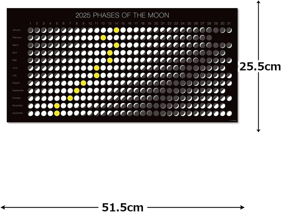 Moon Graphics 2025 Calendar - Moon Phase Poster Horizontal Layout CP202502b