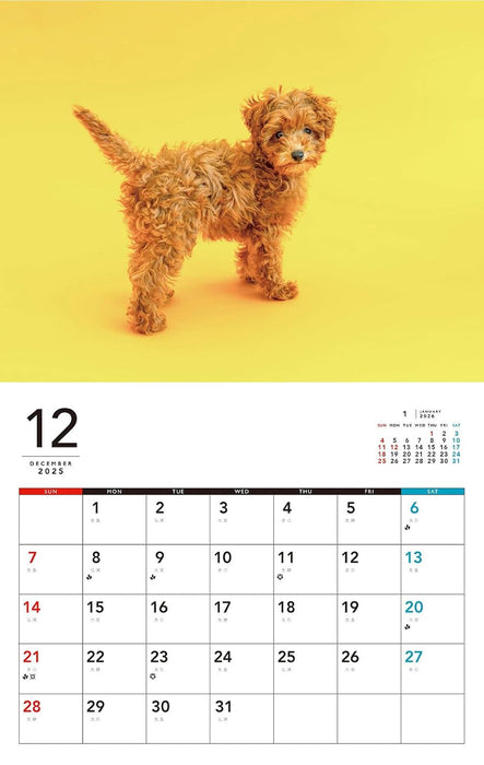 I LOVE Poodle Calendar 2026(Monthly/Wall Calendar)