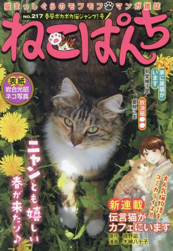 Neko Punch Harukaze Pokapoka Neko Jump! Gou