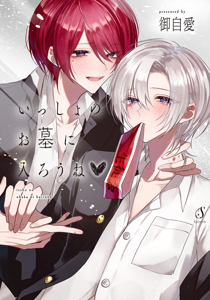 Issho no Ohaka ni Hairou ne?