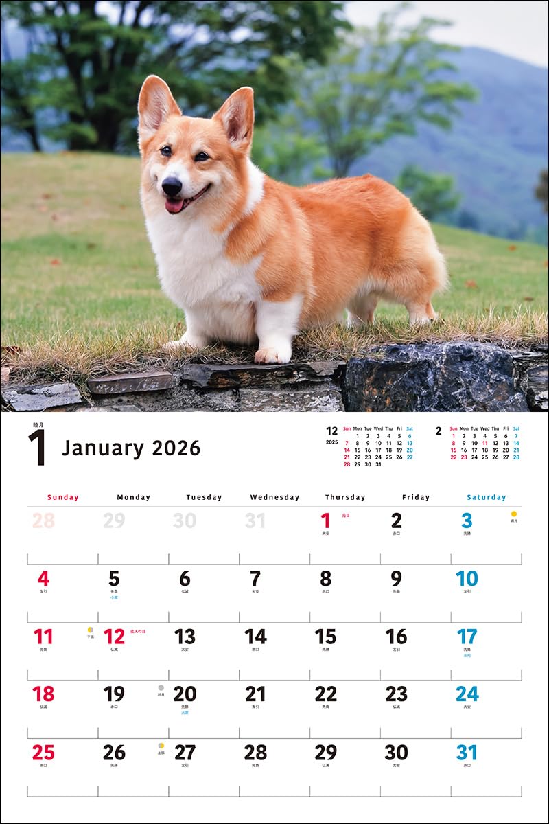 2026 Welsh Corgi Calendar Wide Edition (Seibundo-shinkosha Calendar)