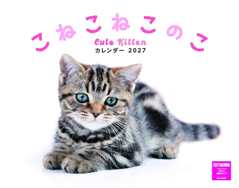 Kittens Calenddar 2027 (Monthly/Wall Calendar)