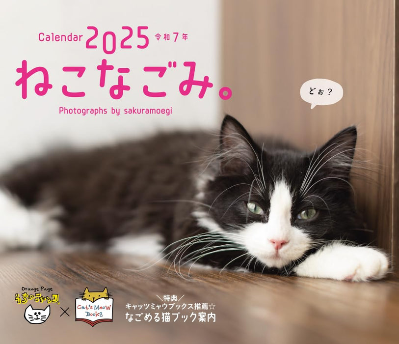 Orange Page Neko Nagomi. Desk Calendar 2025