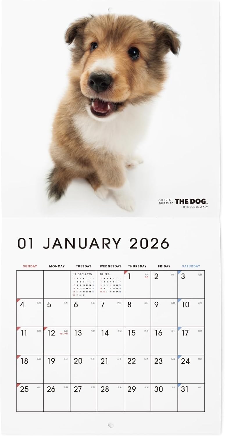 THE DOG 2026 Wall Calendar Mini Size [Shetland Sheepdog]