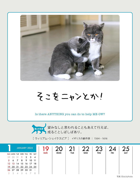 Try-X Life Works Itself Out! 2025 Desk Wall Calendar CL-384 18 x 14cm