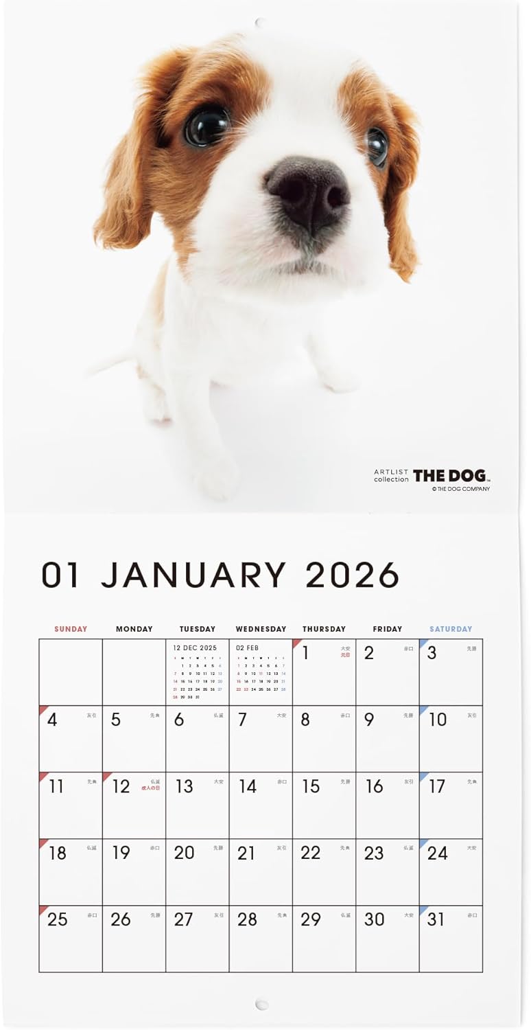 THE DOG 2026 Wall Calendar Mini Size [Cavalier King Charles Spaniel]
