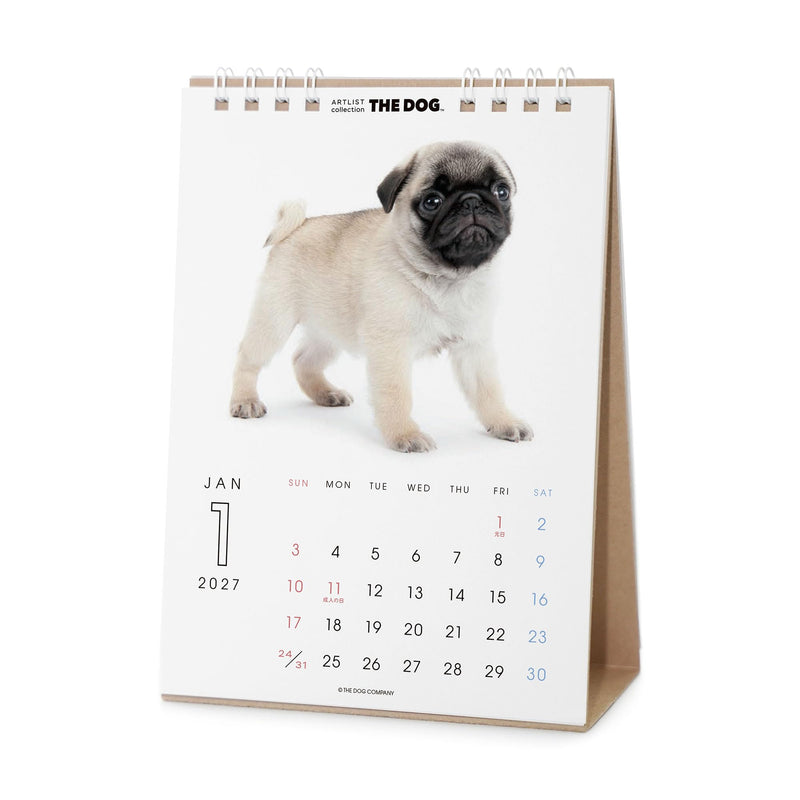 THE DOG 2027 Desk Calendar [Pug]