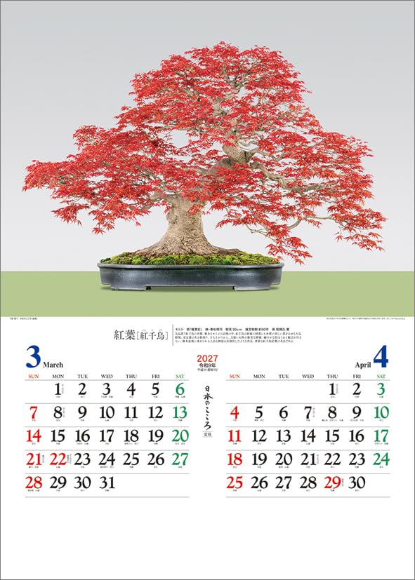 Todan 2027 Wall Calendar Japanese Heart Bonsai CL27-1039