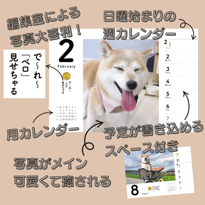 CO2 Shiba Inu 2026 Desk Calendar CK-D26-03