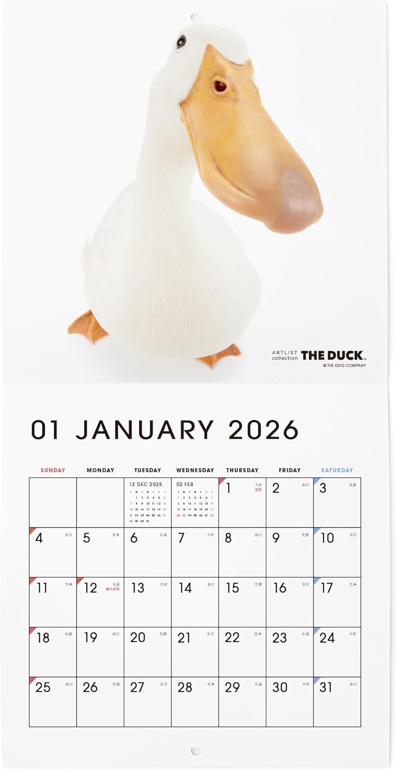 THE DUCK 2026 Wall Calendar Mini Size [Duck]