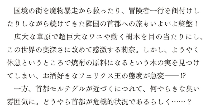Seijo ja Nakatta node, Oukyuu de Nonbiri Gohan wo Tsukuru Koto ni Shimashita 13 (Light Novel)