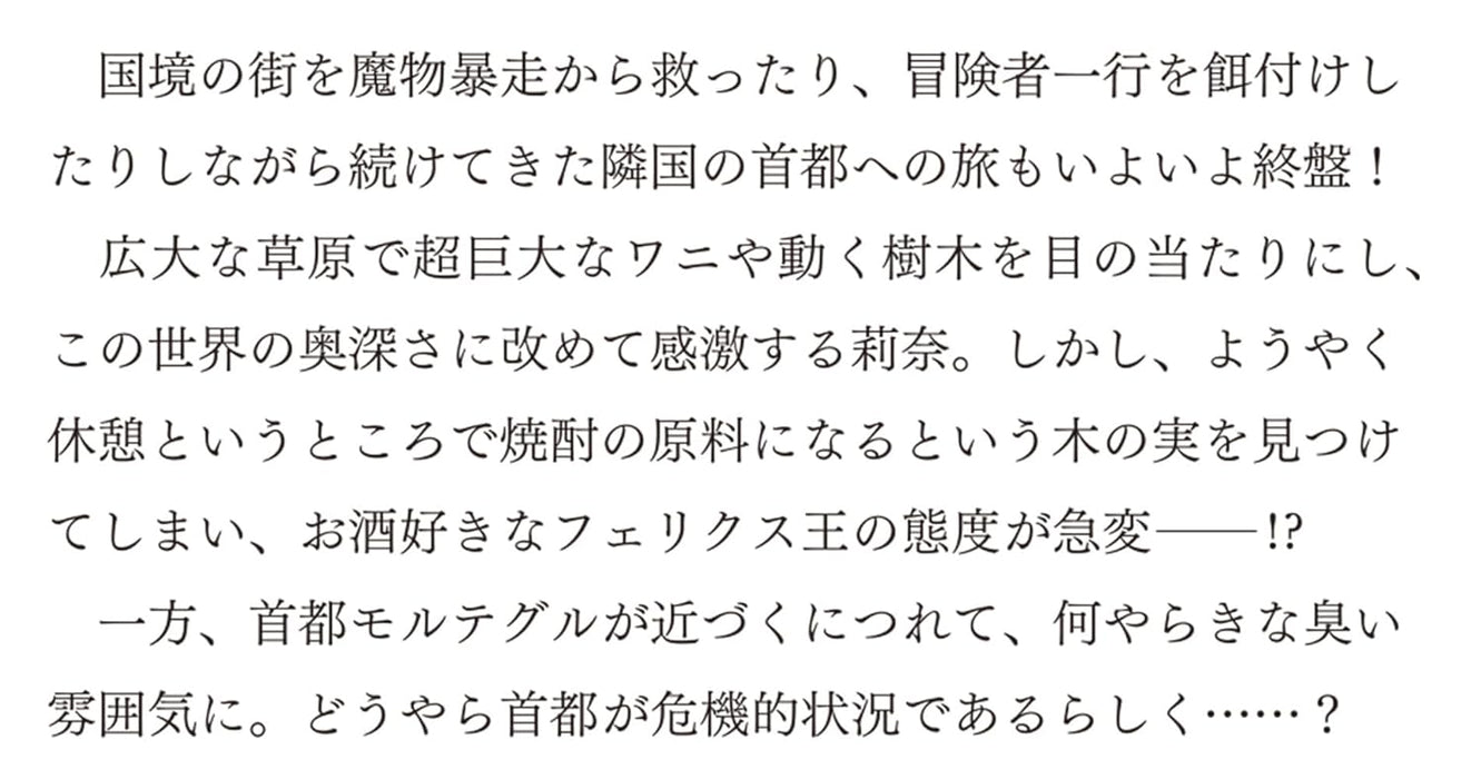 Seijo ja Nakatta node, Oukyuu de Nonbiri Gohan wo Tsukuru Koto ni Shimashita 13 (Light Novel)