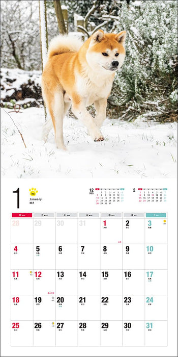 2026 Calendar Akita Dog (Seibundo-shinkosha Calendar)