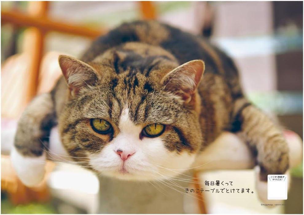 Maru-chan 2025 Calendar No.041