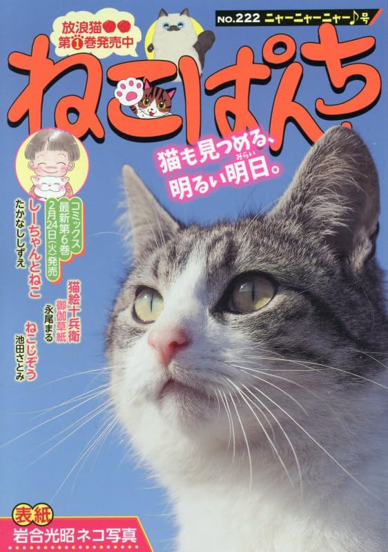 Neko Punch Nyaa Nyaa Nyaa Gou