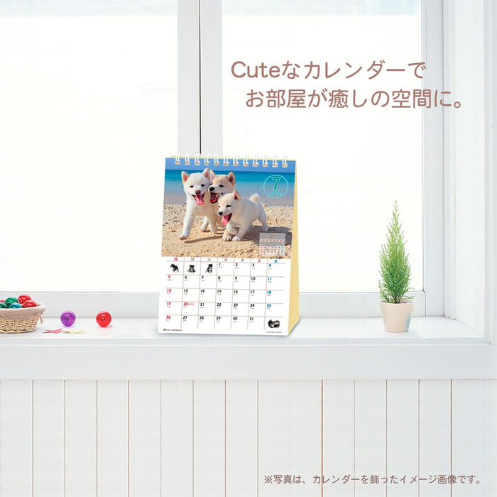 Active Corporation 2026 Desk Calendar Yoneo Morita Marugoto Shibainu 26ACL-543