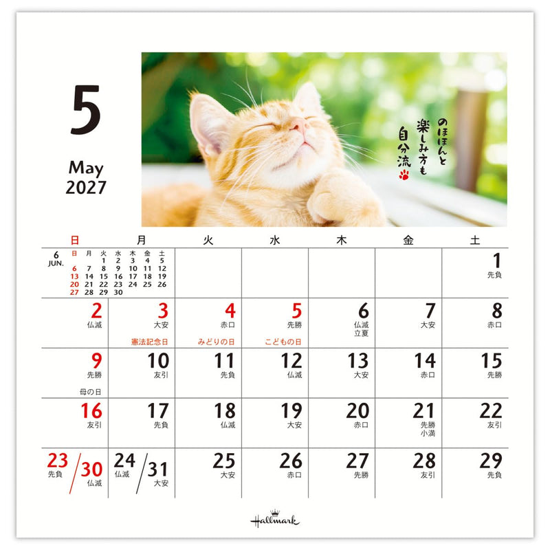 Hallmark 2027 Desk Calendar Homenyanko 853419
