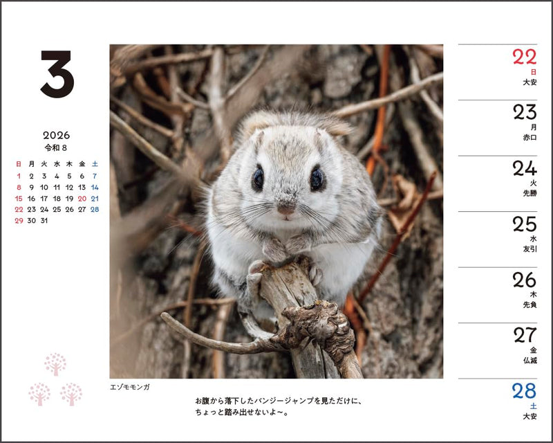 Shimaenaga and Friends of the Forest Weekly Desk Calendar 2026 Special Edition with Postcard
