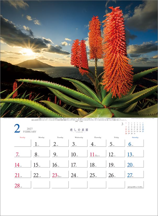 Todan 2027 Wall Calendar Healing Paradise - Kazuyoshi Miyoshi Works Collection CL27-1026
