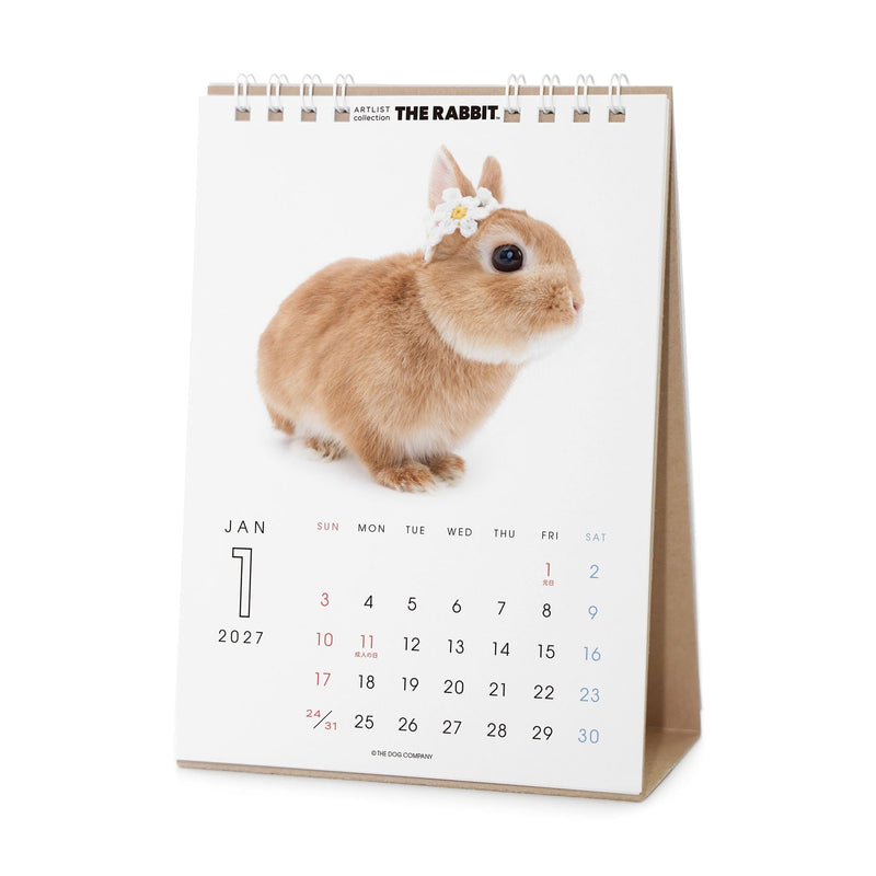 King Corporation 2027 Page-A-Day Calendar 10-go with Memo 400 x 260mm KC68603