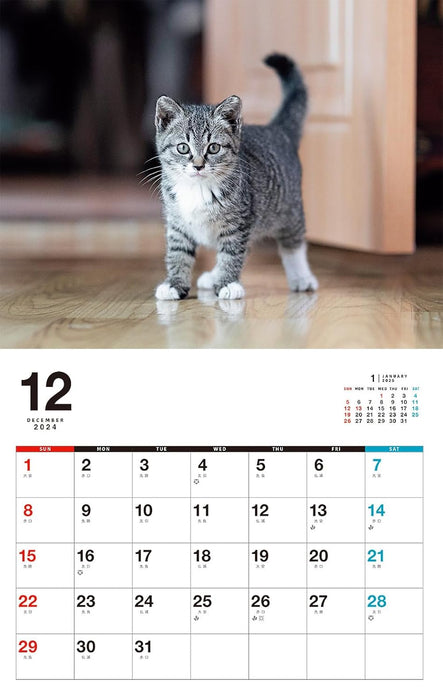 Kittens Calenddar 2025 (Monthly/Wall Calendar)