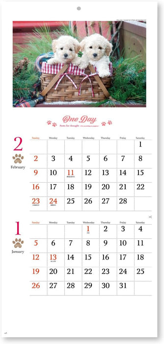 New Japan Calendar 2025 Wall Calendar One Day 2 Months Type NK904