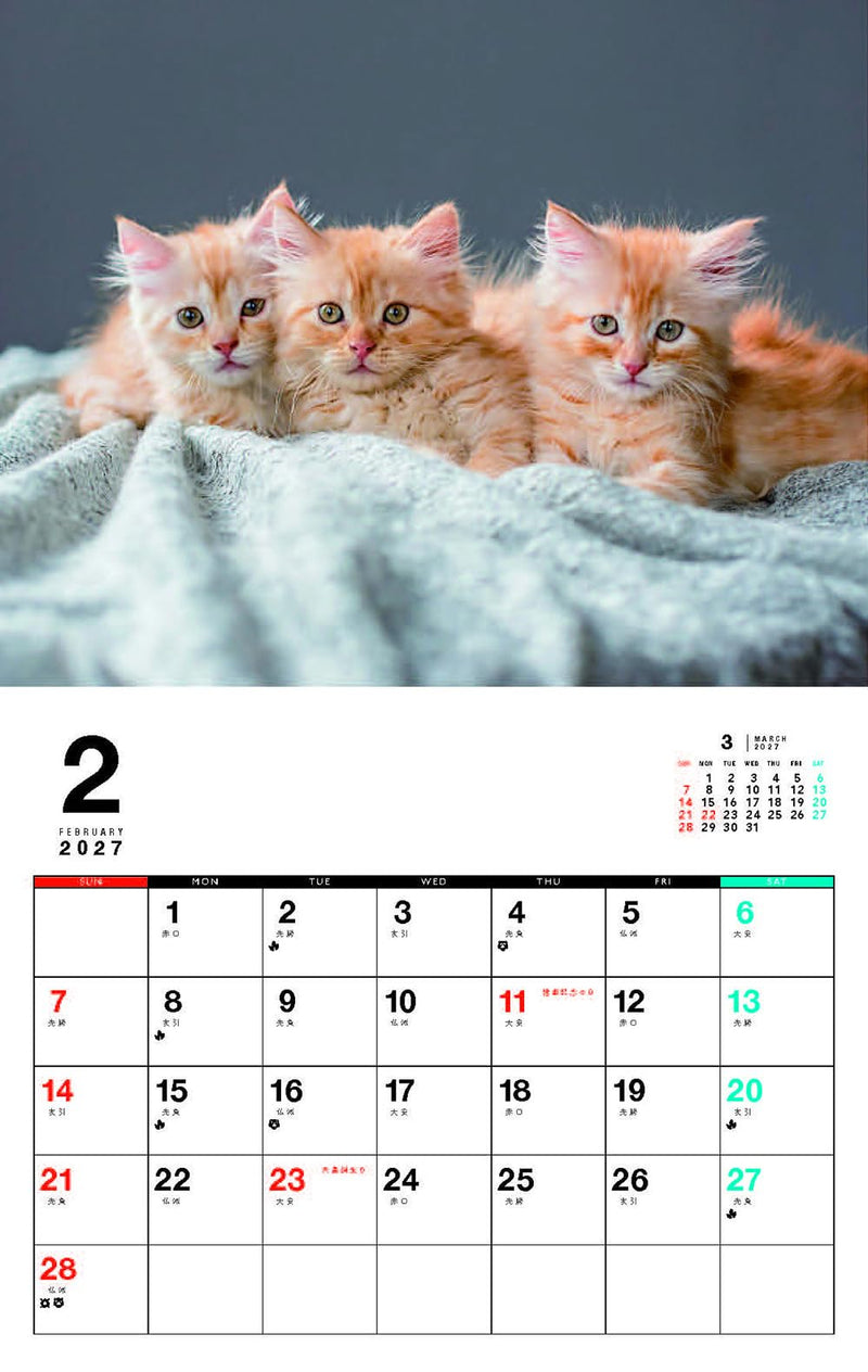 Kittens Calenddar 2027 (Monthly/Wall Calendar)