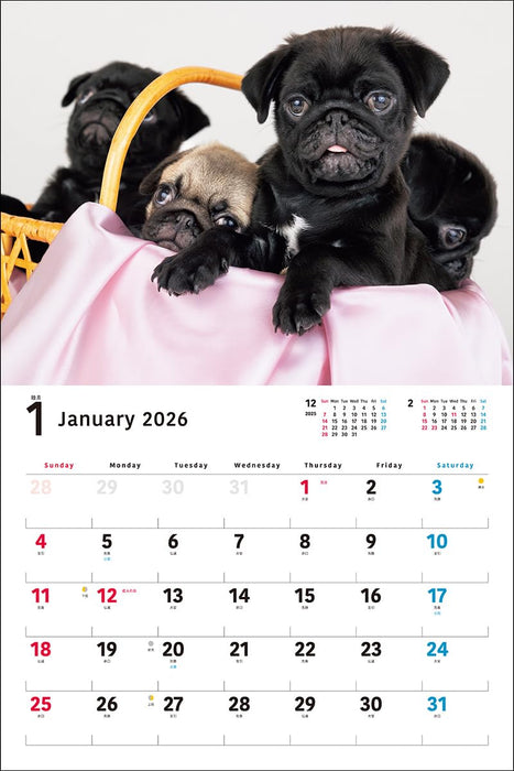 2026 Calendar Pug Wide Edition